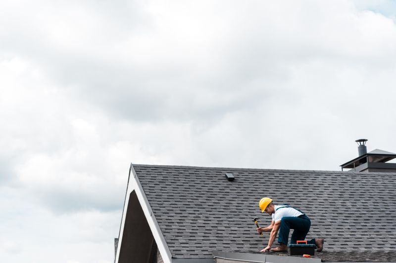 Professional Roofing Services